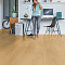 ПВХ-плитка Quick Step LIVYN Pulse Click PUCL 40098 Дуб чистый медовый (миниатюра фото 6)